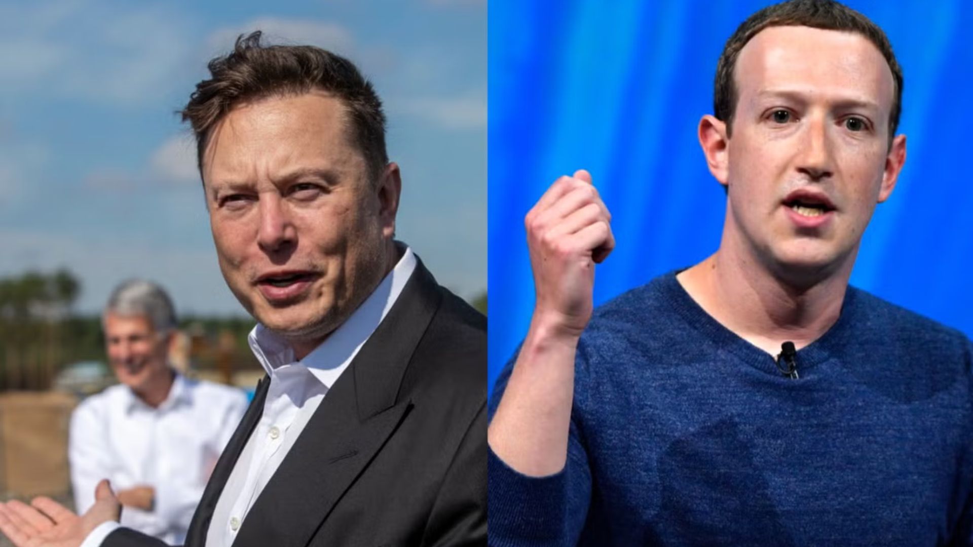 elon musk vs mark zuckerberg